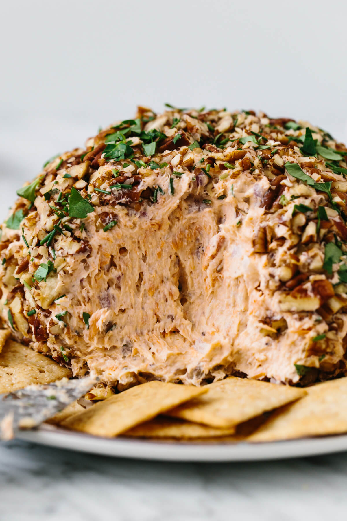 Smoked salmon cheese ball with crackers.